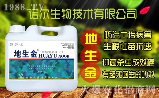 �S���˷N����ô�ɼ����S���˷N��r������Xһ����