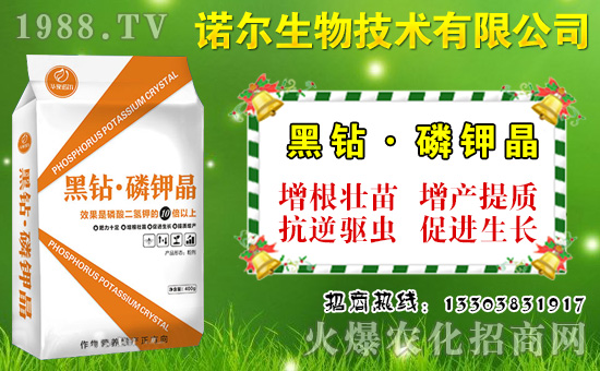 ����˶����ʩ�����˶�������c(di��n)�cʩ�ʼ��g(sh��)��