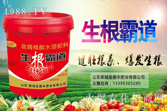 ������Nֲ����(ji��)��ʲô�r(sh��)����������Nֲ��������Щ��