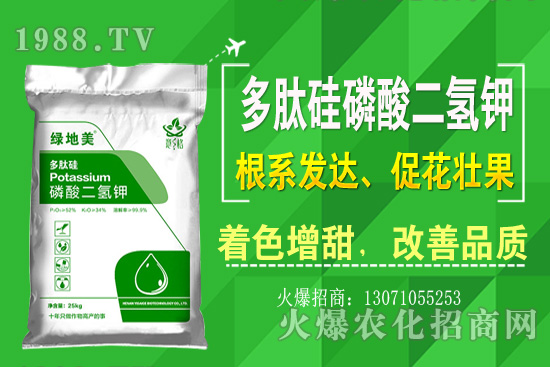 �۲˵ă�(y��u)��Ʒ�N����Щ���۲˷Nֲ���L�h(hu��n)�������Nֲ���g(sh��)��