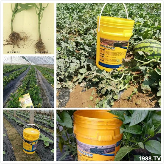 ˮ�ܷ��Ј�(ch��ng)��׃��������徫���~���׌�����������1000���Ñ��������]��