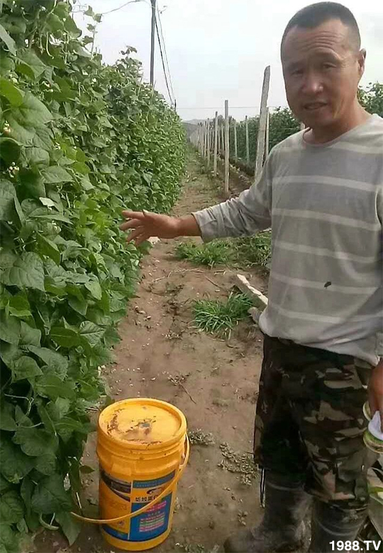 ˮ�ܷ��Ј�(ch��ng)��׃��������徫���~���׌��������棡1000���Ñ��������]��