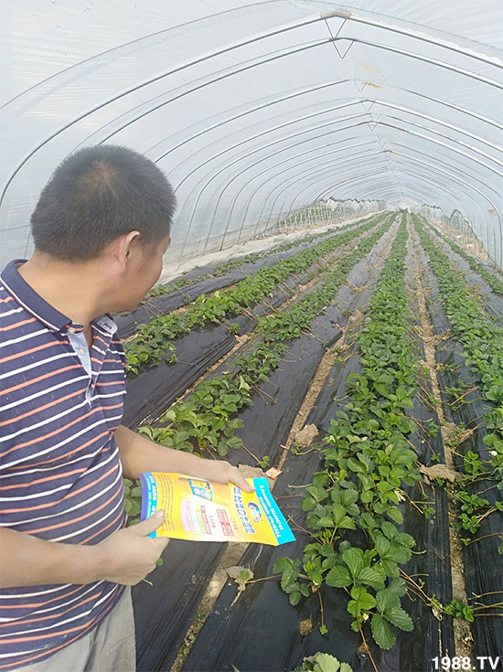 ˮ�ܷ��Ј�(ch��ng)��׃��������徫���~���׌�����������1000���Ñ��������]��