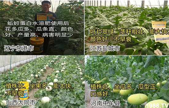 ˮ�ܷ��Ј�(ch��ng)��׃��������徫���~���׌�����������1000���Ñ��������]��