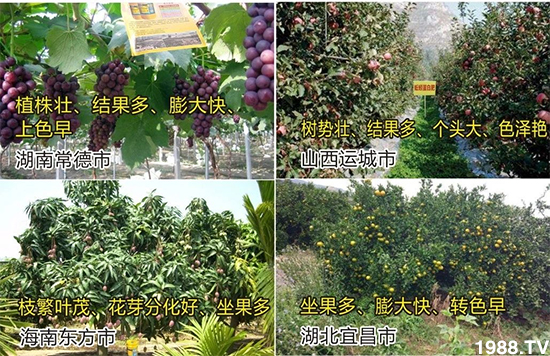 ˮ�ܷ��Ј�(ch��ng)��׃��������徫���~���׌�����������1000���Ñ��������]��