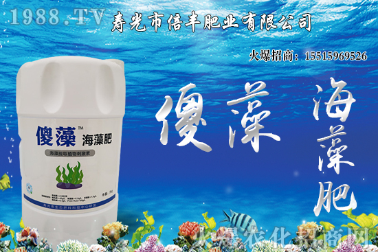 市場(chǎng)逐步回歸正;久,大豆價(jià)格沖高回落!