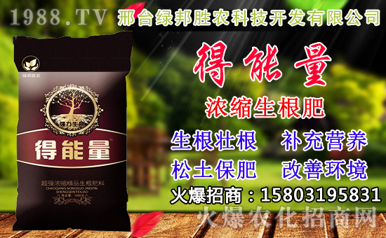 2020��С���N������x���߮a(ch��n)С��Ʒ�N����Щ��