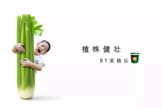 蔬菜水果生根肥料