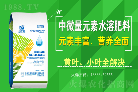 黃花菜該怎么種植?黃花菜種植過程需注意哪些問題?