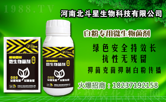 ����暢�����r(ji��)������1��9��