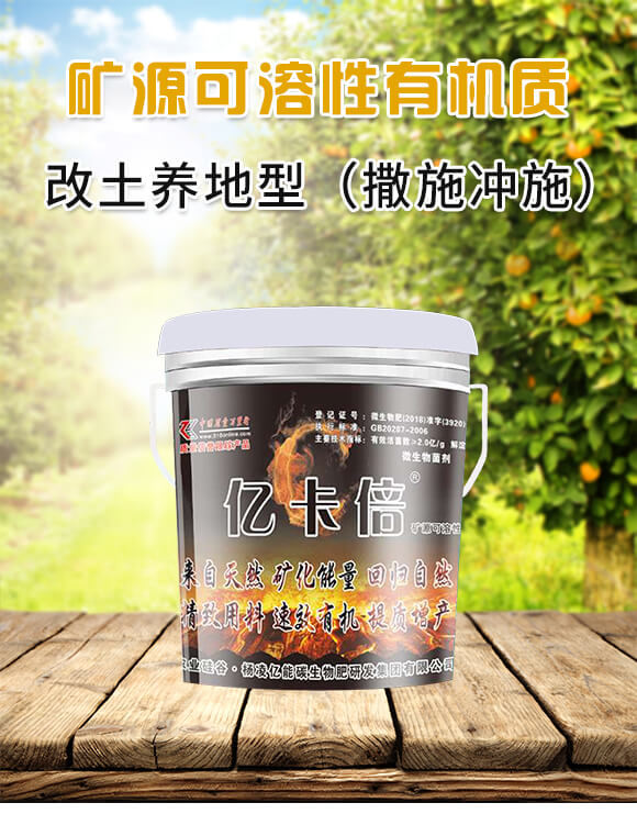 �����B(y��ng)����΢�����������ʩ�_ʩ��-�|����-�|��̼_01