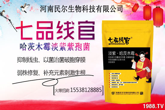 ѩ����r(ji��)������Xһ����ѩ�ҷNֲǰ�����ӣ�