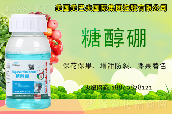 ���յ��ȶ����Xһ����2021�굾�ȃr���Ƿ�߀���q��