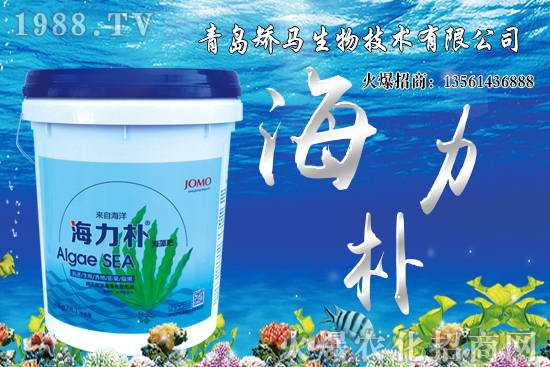 雪桃苗價格多少錢一棵?2021年種植雪桃能賺錢嗎?