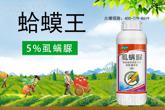 ʭ����������ô�������x(ch��ng)���c(di��n)��ʲô��