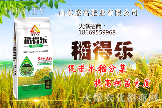 �Zʳ�r(ji��)��