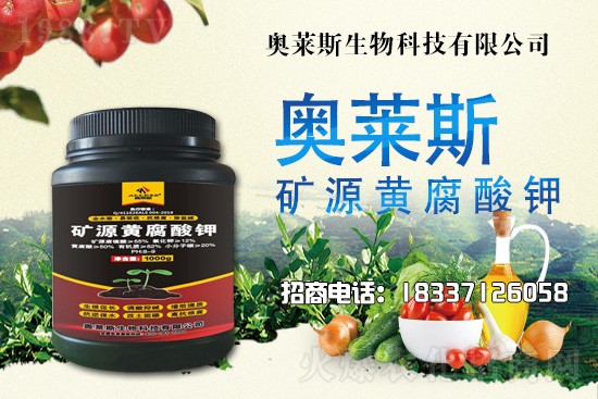 �`֥���a����(ji��)��ʲô�r�����`֥���϶�ľ�������༼�g��