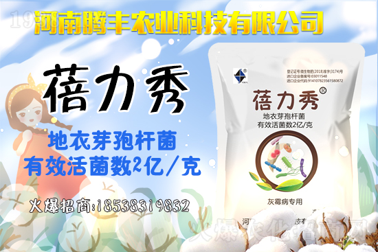 西葫蘆品種有哪些?西葫蘆的種植注意事項(xiàng)