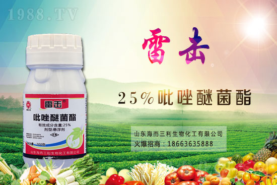 â���������r���߄�2021.5.17