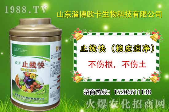 �W�������ٺ�1988.TV������(sh��)�F(xi��n)��I(y��)�v�w����