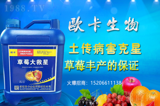 �W�������ٺ�1988.TV������(sh��)�F(xi��n)��I(y��)�v�w����