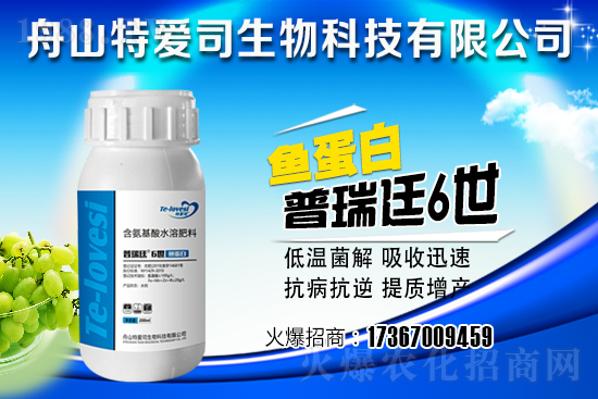 ���˲ɺ����