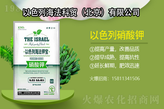 �q�����q����⛷ʃr���֝q��������⛷ʃr�������߄ݣ�7��29�գ�