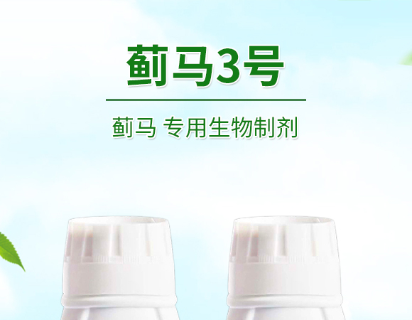 薊馬、跳甲生物制劑-薊甲3號-悅地豐生物_01