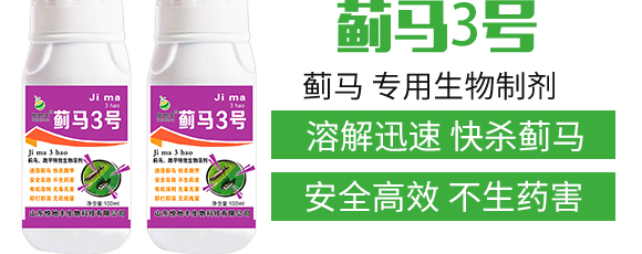 薊馬、跳甲生物制劑-薊甲3號-悅地豐生物_03