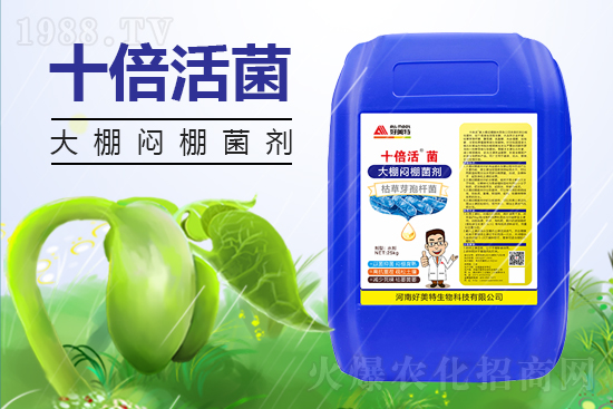 2022.1.29��˪�`�rˎ�r��S�̈�r