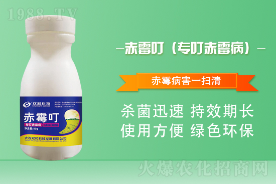 ���������������B�p�ͿƼ��ٺ�1988.TV������(chu��ng)���x����