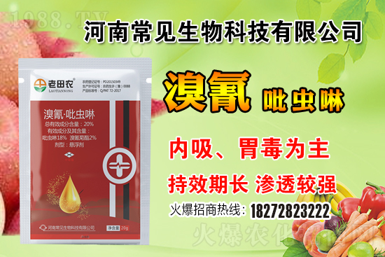 �������x(ch��ng)��