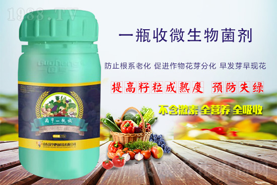 火爆農(nóng)化網(wǎng)喜迎新盟友,攜手國亨肥業(yè)共走財富之路!