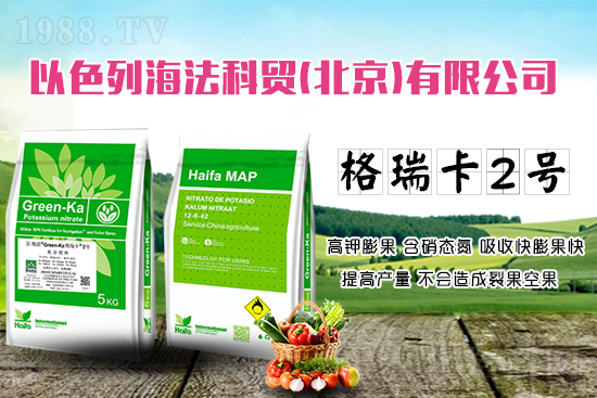 果蔬膨果增產的秘密!杜絕裂果空果,以色列原裝進口,配方萬里挑一!