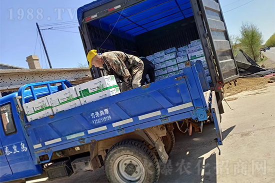 暢銷爆品!實力廠家!格瑞卡2號發(fā)貨不停歇