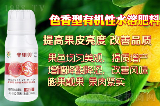 ������ɫ�������ĺÎ���������(sh��)��ɫ�������磡