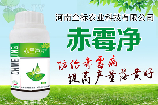 �o�����ѣ�δ��ʮ����С����ù�������P�I�����ձ�ץ����