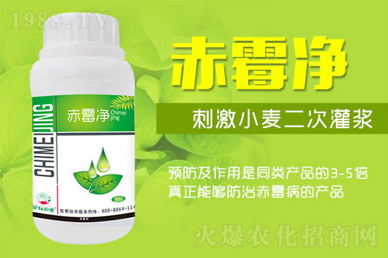 �o�����ѣ�δ��ʮ����С����ù�������P�I�����ձ�ץס��