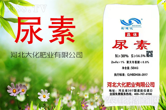 尿素到底能不能做葉面肥?怎么用?