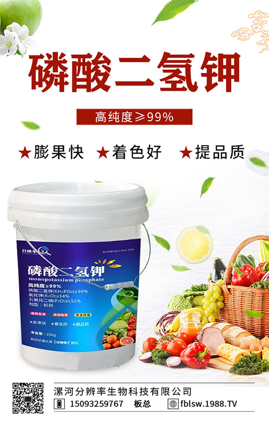 �~��ʵć�ʩ�`�^(q��)���@���c(di��n)�e������