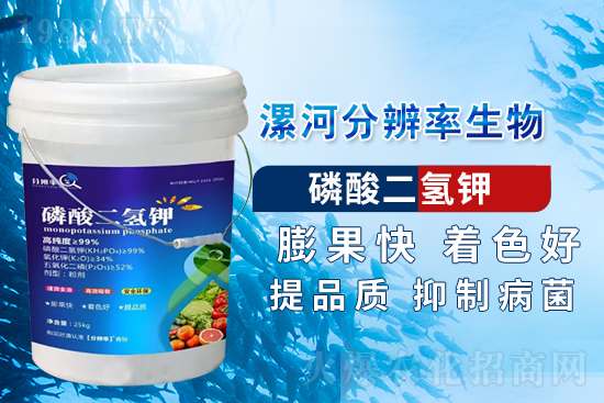 �~��ʵć�ʩ�`�^(q��)���@���c(di��n)�e������