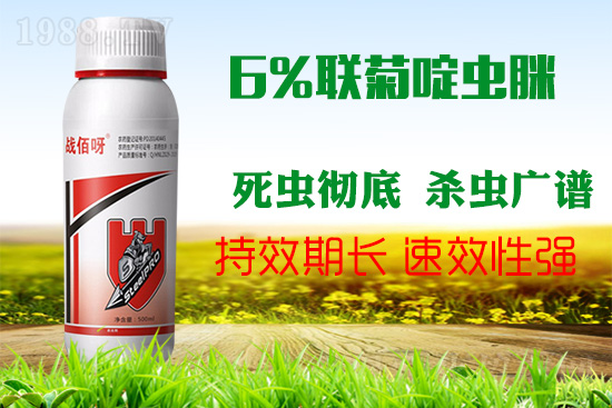 �������x���l(f��)�l��������ע����ǰ�������ׂ������p�ɸ㶨��