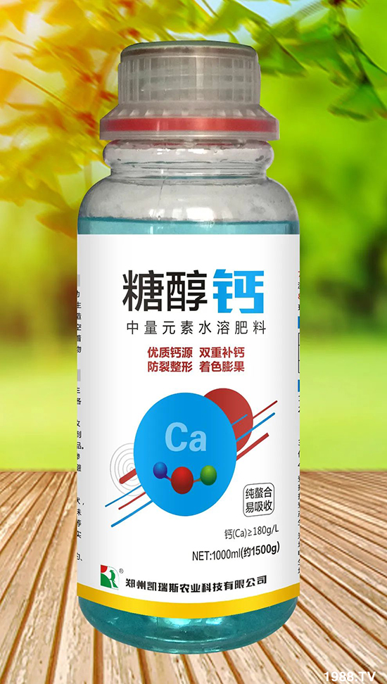 ���¹�����ô�������@�����������������ɫ����ȸ���