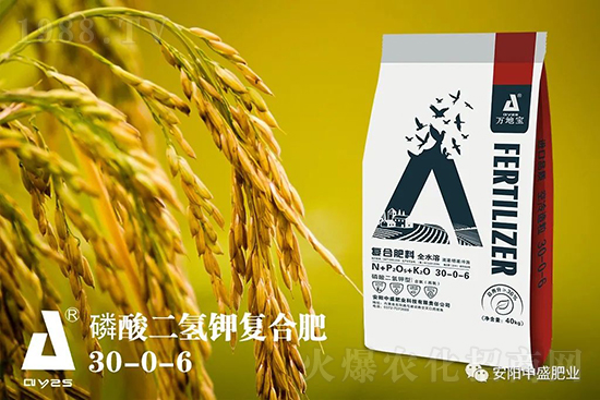 水稻分蘗不好對產(chǎn)量有多大影響？促進水稻分蘗怎么做？