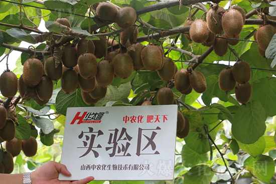 �J����������c(di��n)����Щ���J����������ôʩ