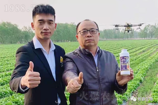 ����׷�ʏ�(f��)�Ϸʺ�߀�����غ����ܶ��˶��e�������������_�x��