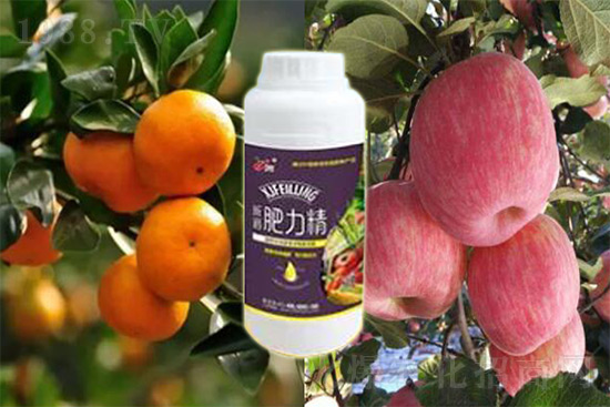 ����׷�ʏ�(f��)�Ϸʺ�߀�����غ����ܶ��˶��e�������������_�x��