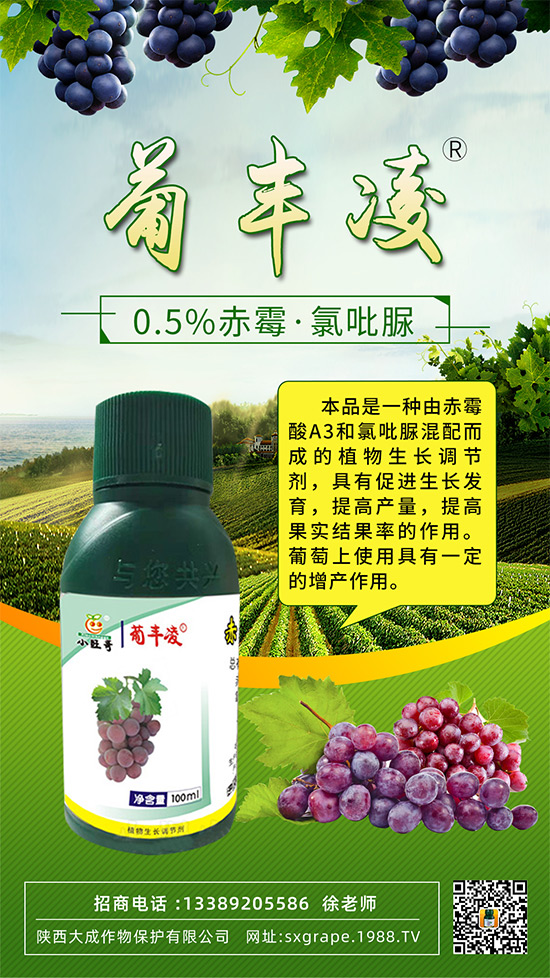 ���ѹ���ϡ������С��������ô�k���@Щ�����ஔ��Ҫ