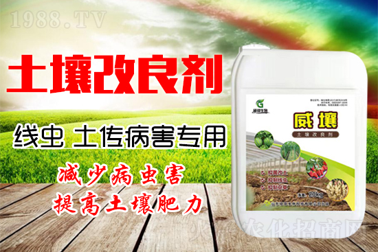 222������Y(ji��)���x(ch��ng)������������(y��n)�أ�����һ�з�������