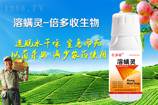 夏季二斑葉螨爆發(fā)怎么辦?二斑葉螨應(yīng)該怎樣防治?